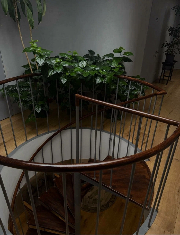 Бон Тай Марата